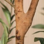 Artificial Palm Treesartificial palm trees