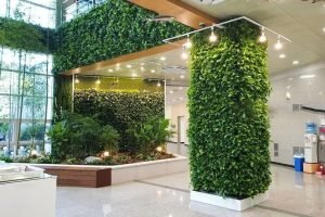 Indoor Vertical Greenery Triumph: Successful Im...