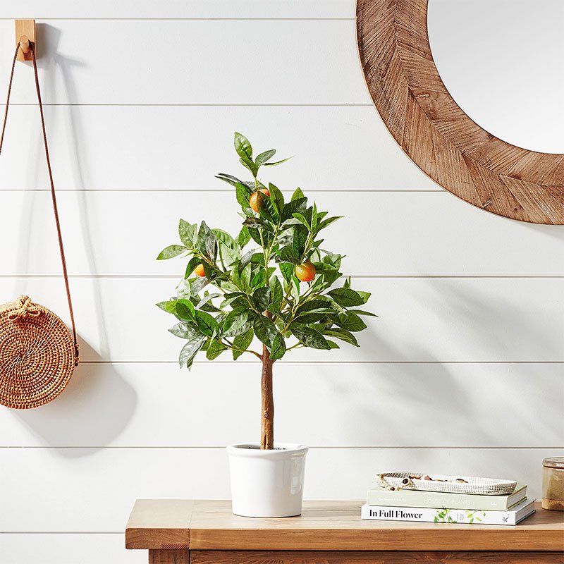 Artificial lemon tree display 02