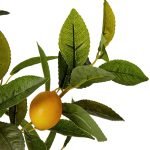 Artificial lemon tree04Artificial Lemon Tree