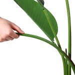 faux tree banana plantArtificial Bird Of Paradise Plant
